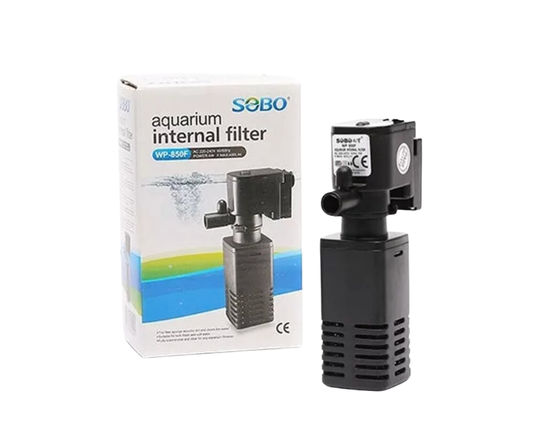 SCRATCH & DENT: Girls of Dark Divine (Limited First Edition Paperback)