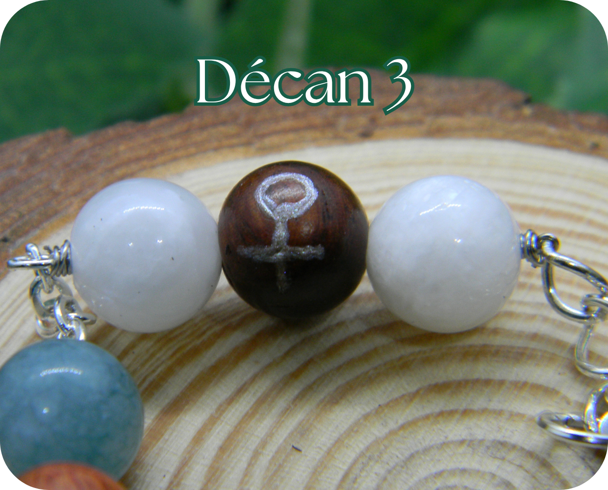 Nights of Noctis (SIGNED Paperback)